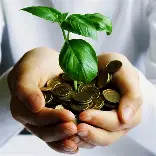 Économie numérique