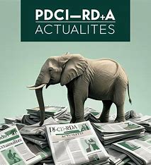 images_pdci